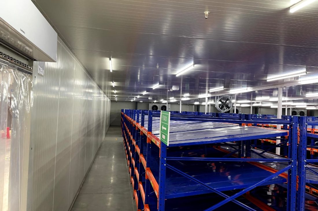 WhatsApp Image 2021-07-22 at 1.24.48 PM