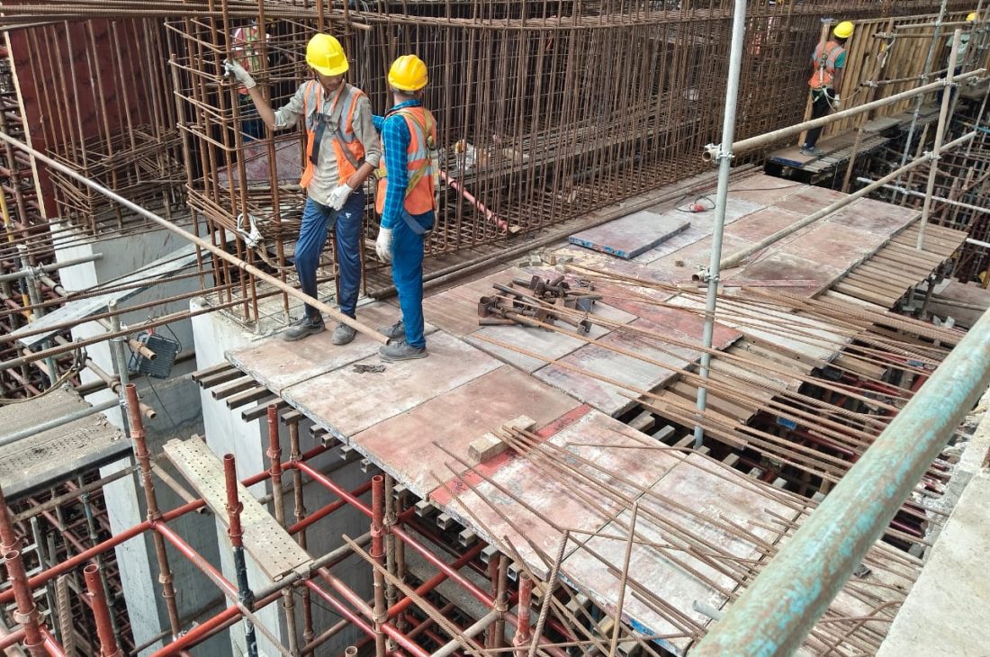 WhatsApp Image 2026-01-31 at 11.15.31