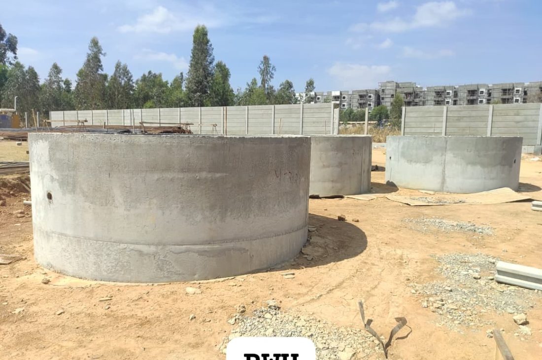 WhatsApp Image 2026-03-03 at 13.58.46 (1)