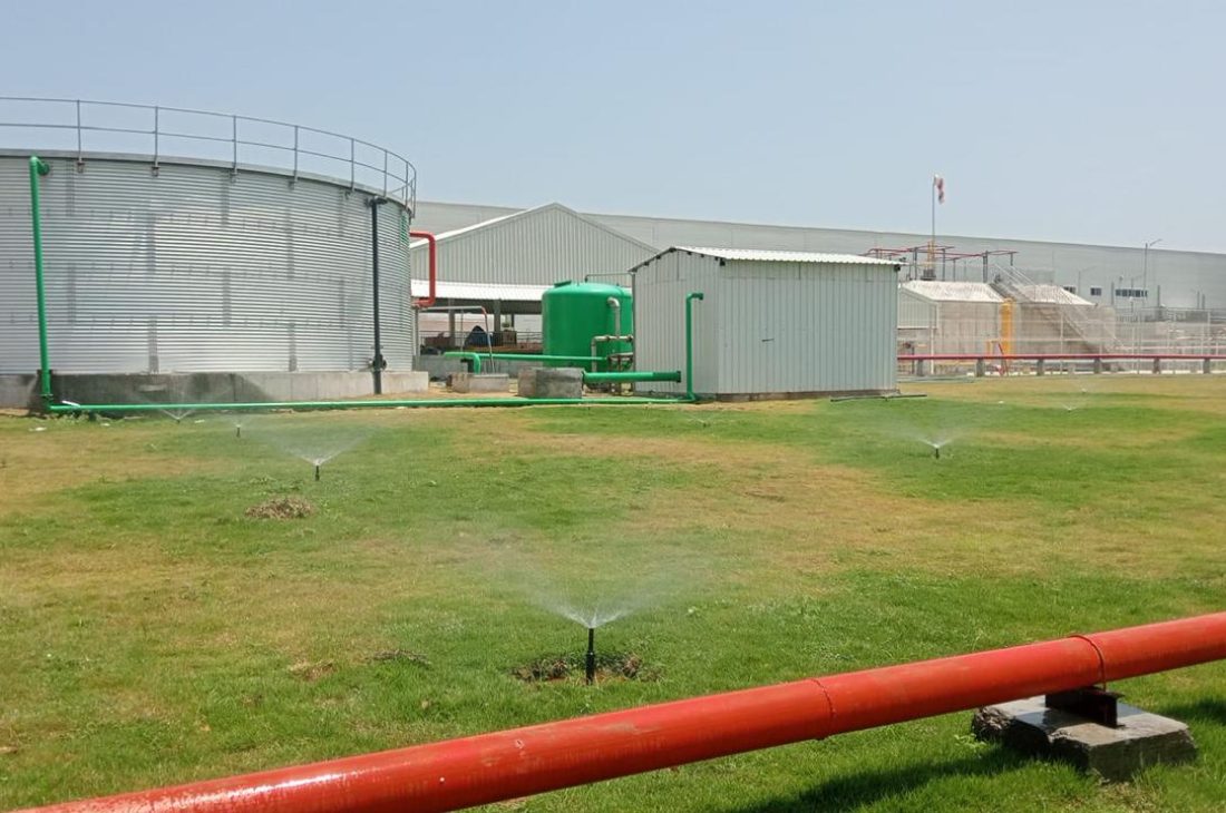 WhatsApp Image 2026-03-12 at 13.02.45